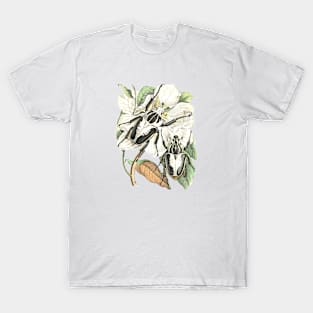 Beetles and Tropical Flower Vintage Nature Illustration T-Shirt